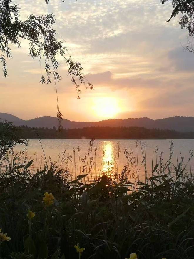 寻诗远方（之十五）